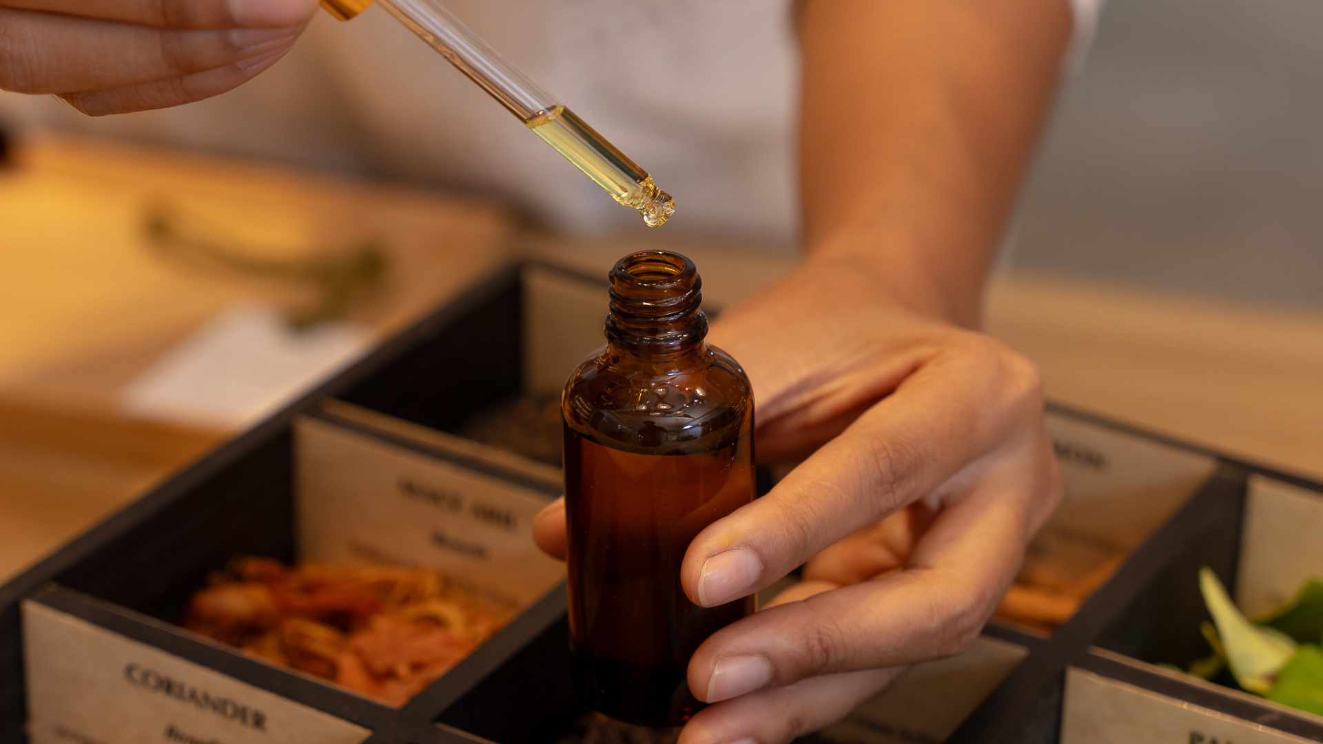 Mandai Rainforest Resort by Banyan Tree-oil